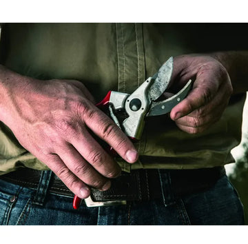 Gardening Shears
